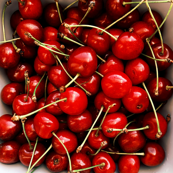 Antioxidant Support