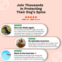 Spine & Disc Powder