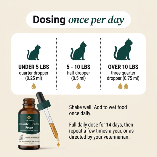 Parasite Cleanse For Cats