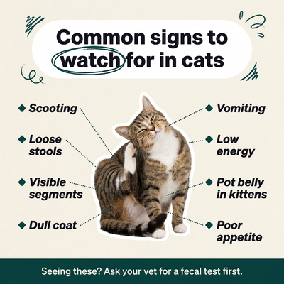 Parasite Cleanse For Cats