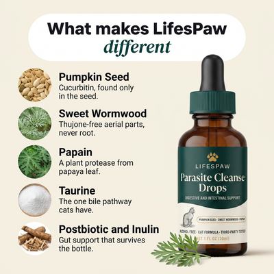 Parasite Cleanse For Cats