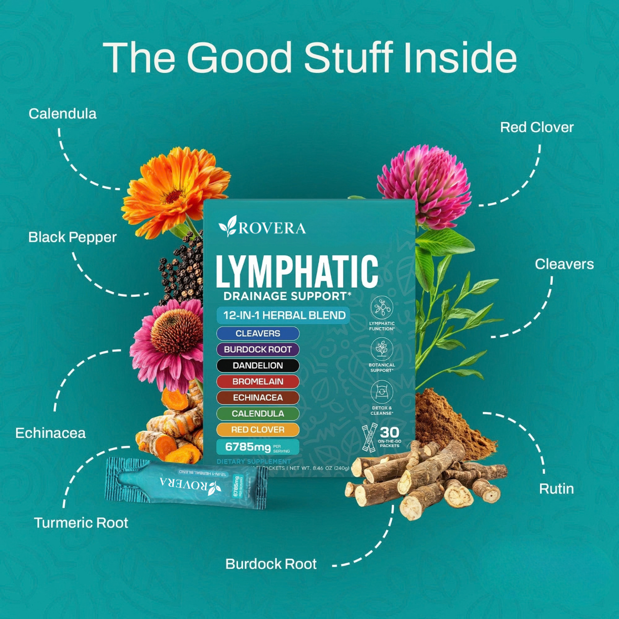 Lymphatic Drainage Support